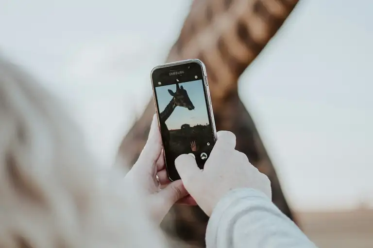 A hand holding a smartphone