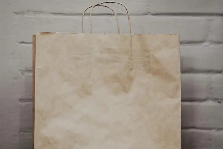 A plain paper shopping bag